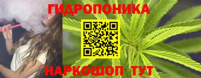 spice Краснознаменск