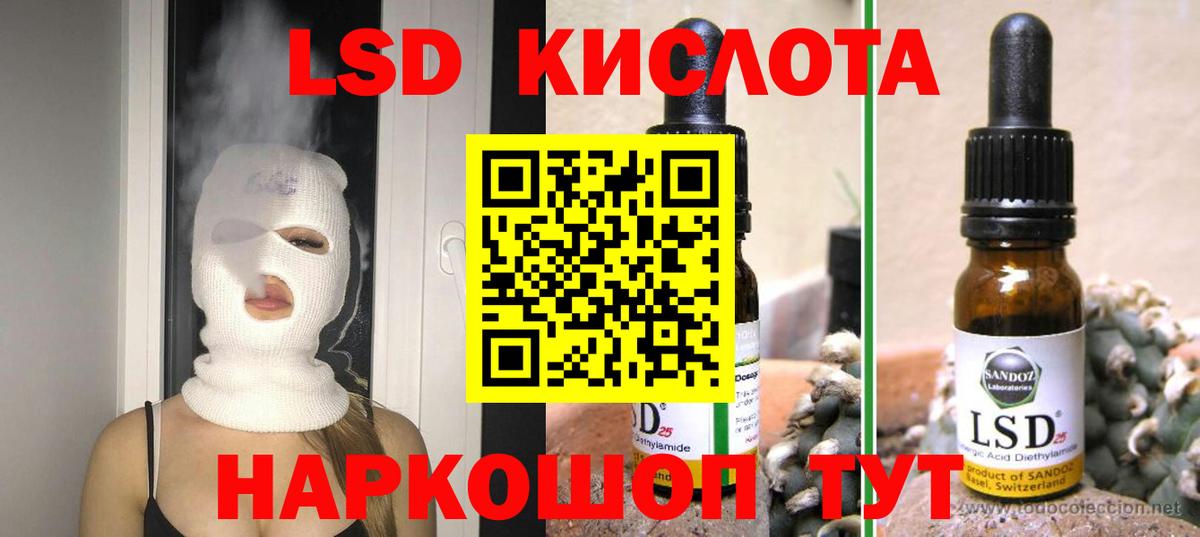 Галлюциногенные грибы Кингисепп