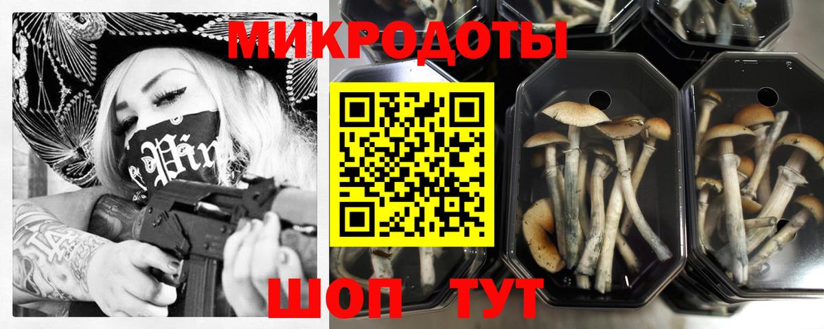 Псилоцибиновые грибы Psilocybine cubensis Кингисепп