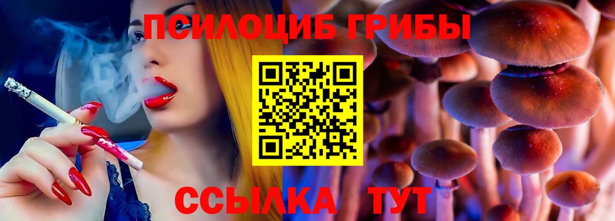 Галлюциногенные грибы Psilocybe  Псилоцибиновые грибы мицелий  Вход с VPN  закладки  Кингисепп 
